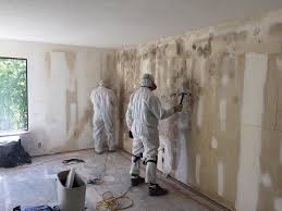 Granger, TX Mold Remediation Company